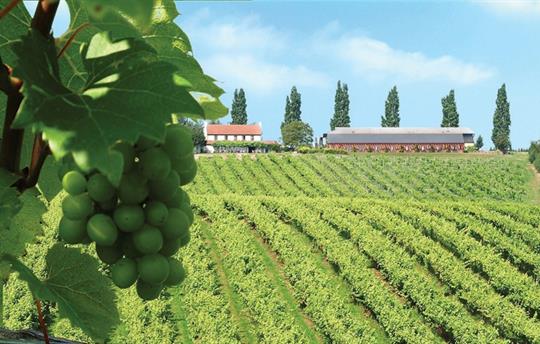 Three Choirs Vineyard