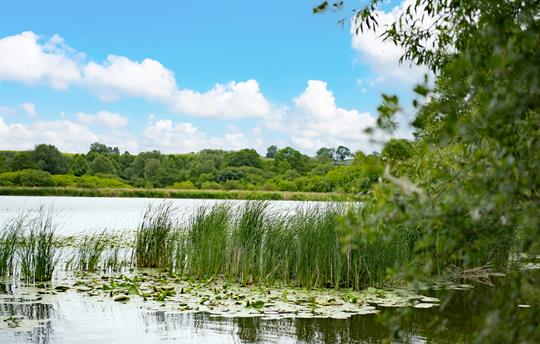 Betley Mere on our farm