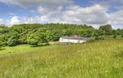 Abbotsway overlooks grass fields & mixed woodland