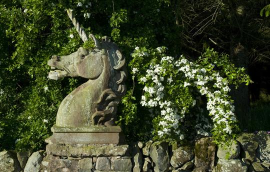 Many quirky landscaping features to enjoy