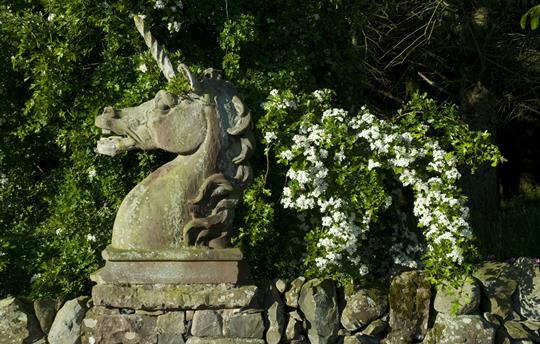 Many quirky landscaping features to enjoy