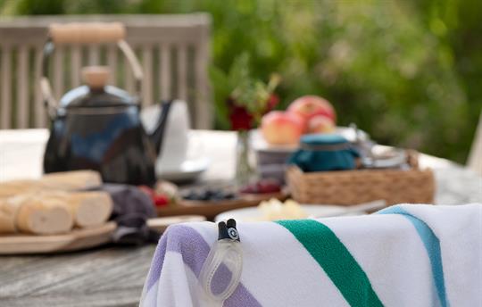 Swim or breakfast  first?