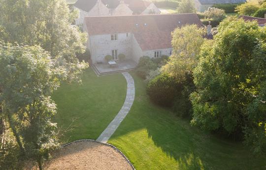 Deerleap in the sunshine