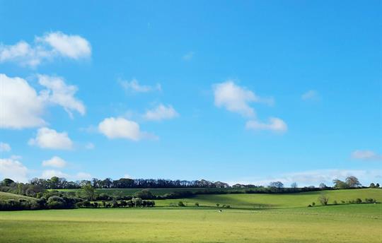Neighbouring fields on an early summer morning