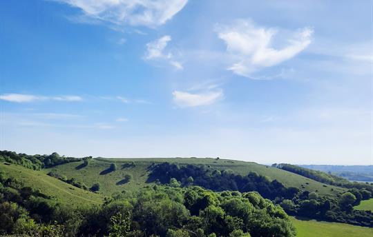 View from Old Winchester Hill (10 mins away)