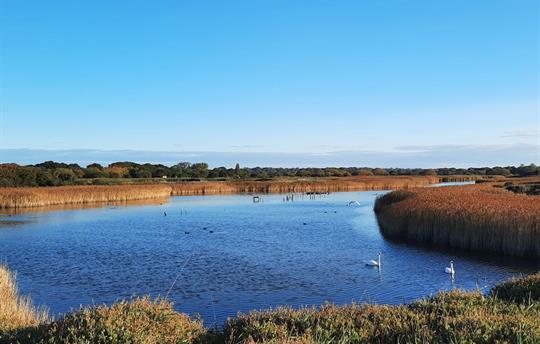 Titchfield Haven nature reserve
