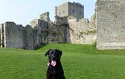 Portchester Castle - Hunde willkommen