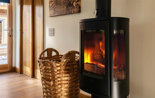 Woodburner with complimentary logs