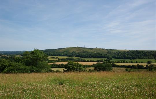 Views across the South Downs from Barrow Hill