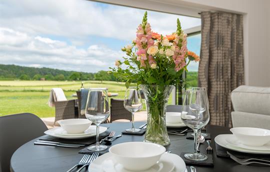 Views from the dining table