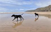 Dog friendly Sandymouth Beach