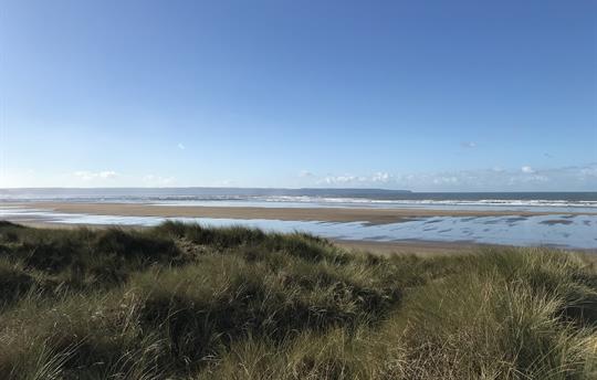 Exploring at Braunton Burrows