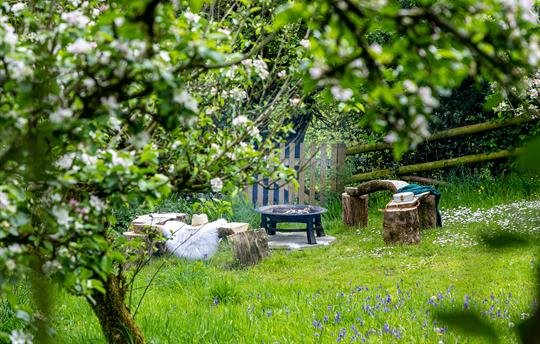 Shared Apple Orchard fire-pit and wooden benches
