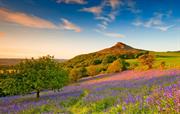 Roseberry Topping one of our great days out