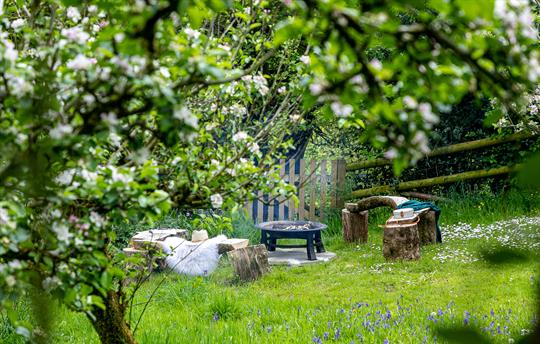Shared Apple Orchard fire-pit and wooden benches