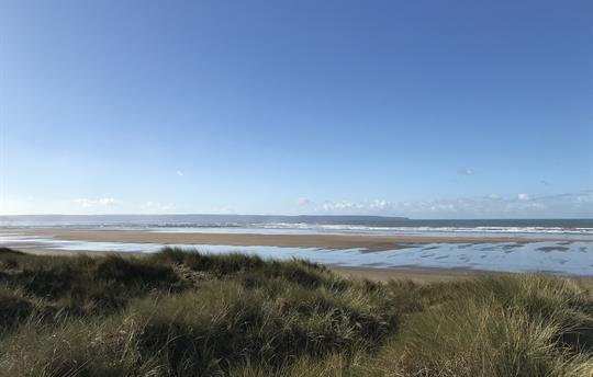 Exploring at Braunton Burrows