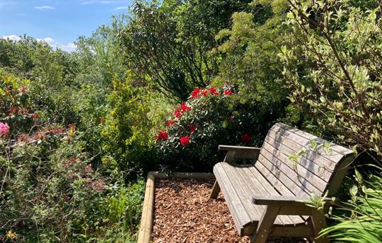 A quiet place to sit & relax in the garden