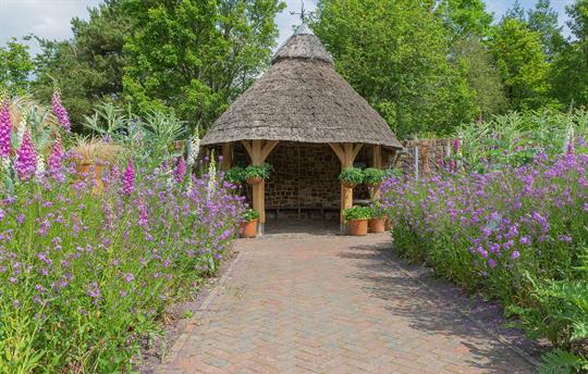 Wander around beautiful RHS Rosemoor gardens