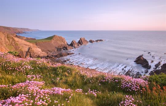 Walk along the North Devon dramatic coastline