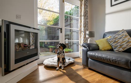 Dog-friendly cottage