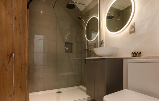 Forge en suite walk-in shower room