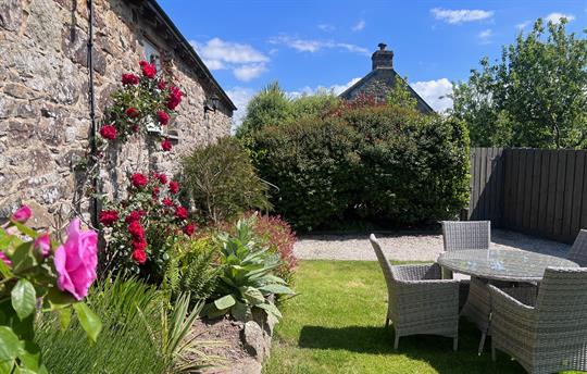 Jasmine  private garden