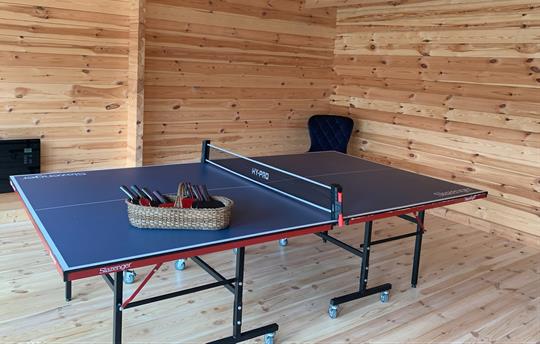 Table tennis table