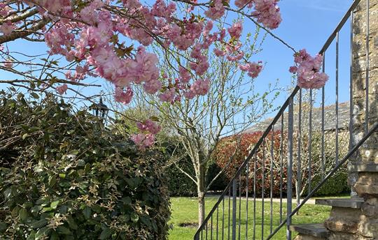 Forge outside steps from bedroom