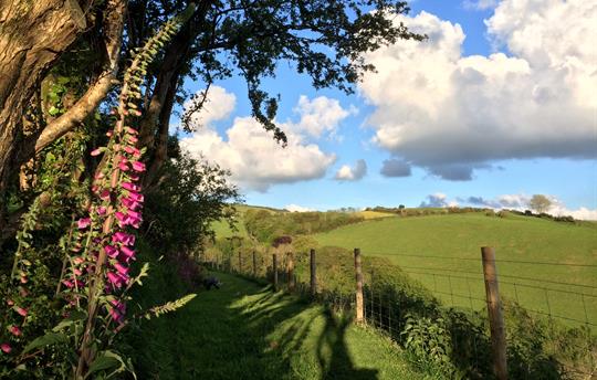 Beautiful places to walk