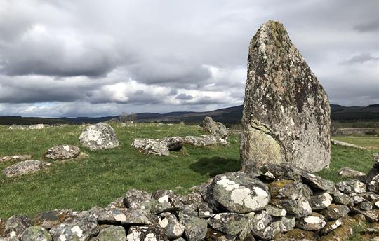 Gask Standing Stone and Ring Cairn