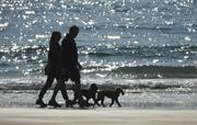 Walk the dogs at Freshwater West