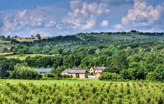 The Barns from the orchard