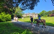 Horse Riding at Broomhill Manor