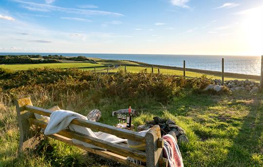 The Llanfendigaid Estate
