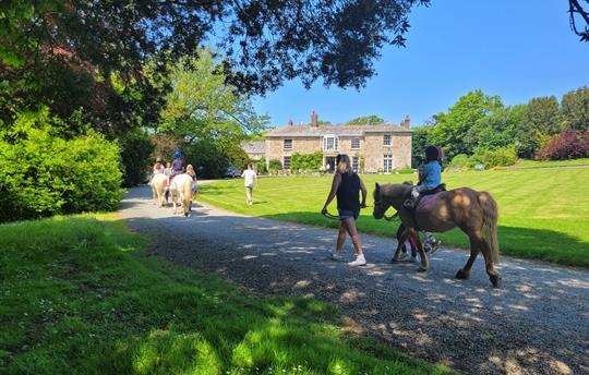 Horse Riding at Broomhill Manor