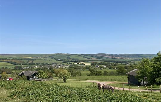 Skies forever at airhouses