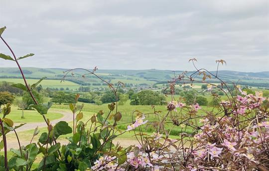 Beautiful views at airhouses