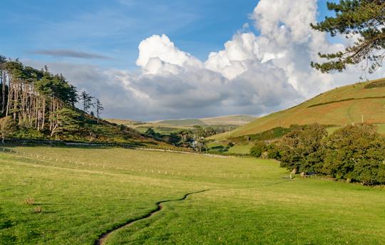 The Llanfendigaid Estate