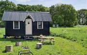 The Wriggly Inn on a sunny summer day