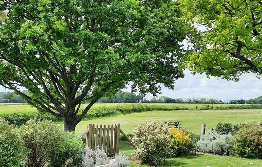 Teal Cottage garden view