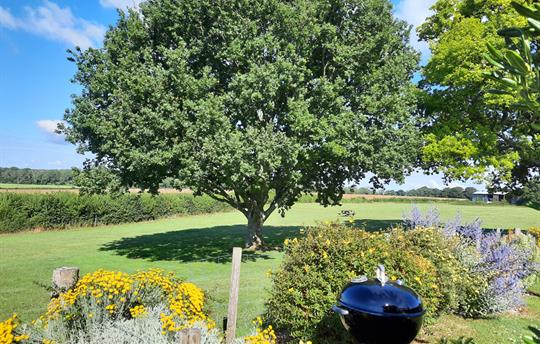 Summer view from Teal Cottage garden
