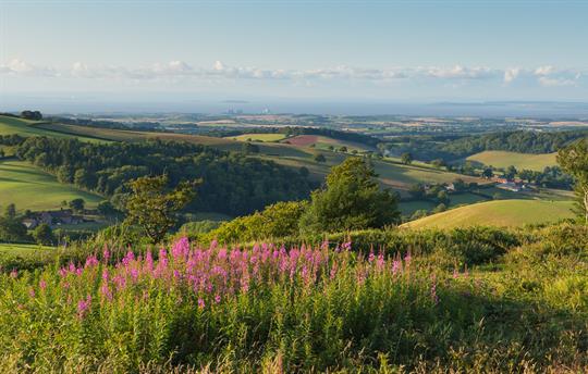 Quantock hills