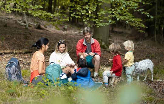Picnic in our scenic woodland with a view