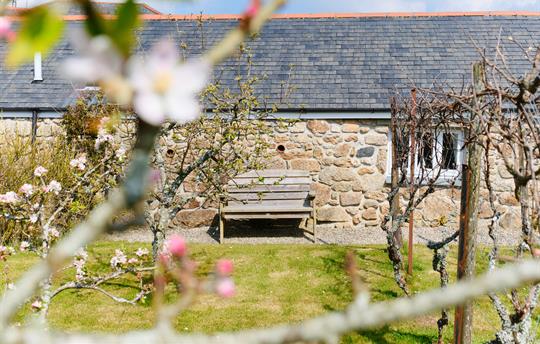 Spring at Cobblestone Cottage