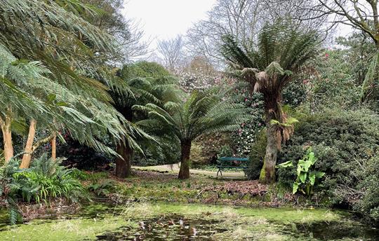 Trengwainton Gardens less than two miles away