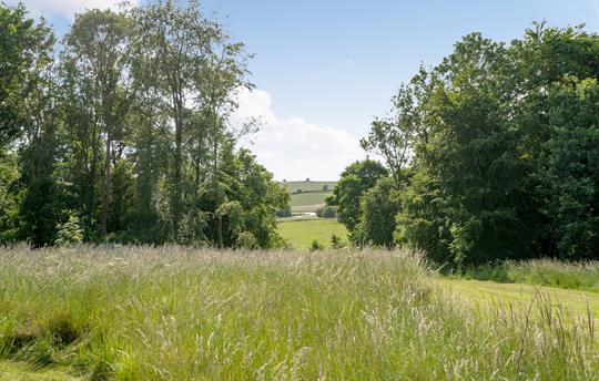 View to the lake in the distance