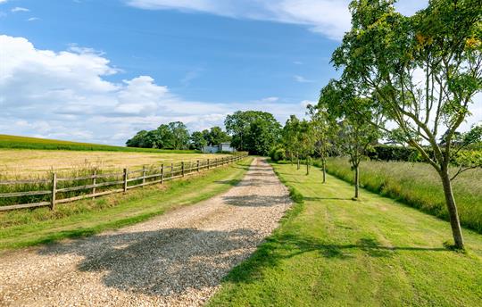 View from the cottage back up to the farm yard