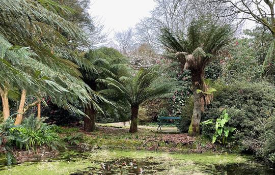 Trengwainton Gardens
