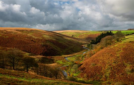 Exmoor