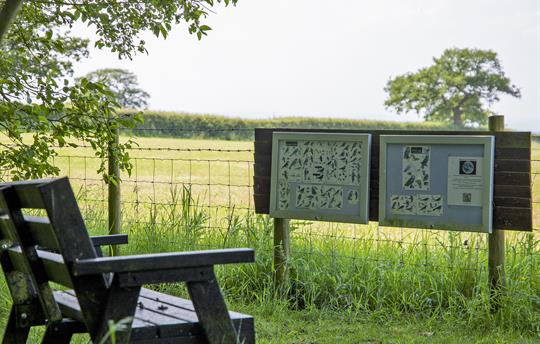 Relax in our Bird Watching Area
